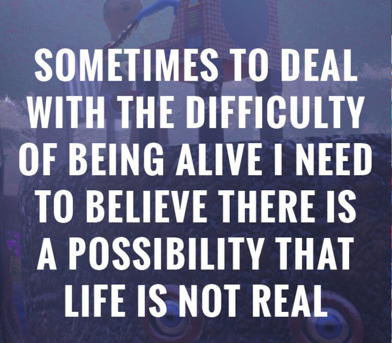 Sometimes to Deal with the Difficulty of Being Alive, I Need to Believe There Is a Possibility That Life Is Not Real 