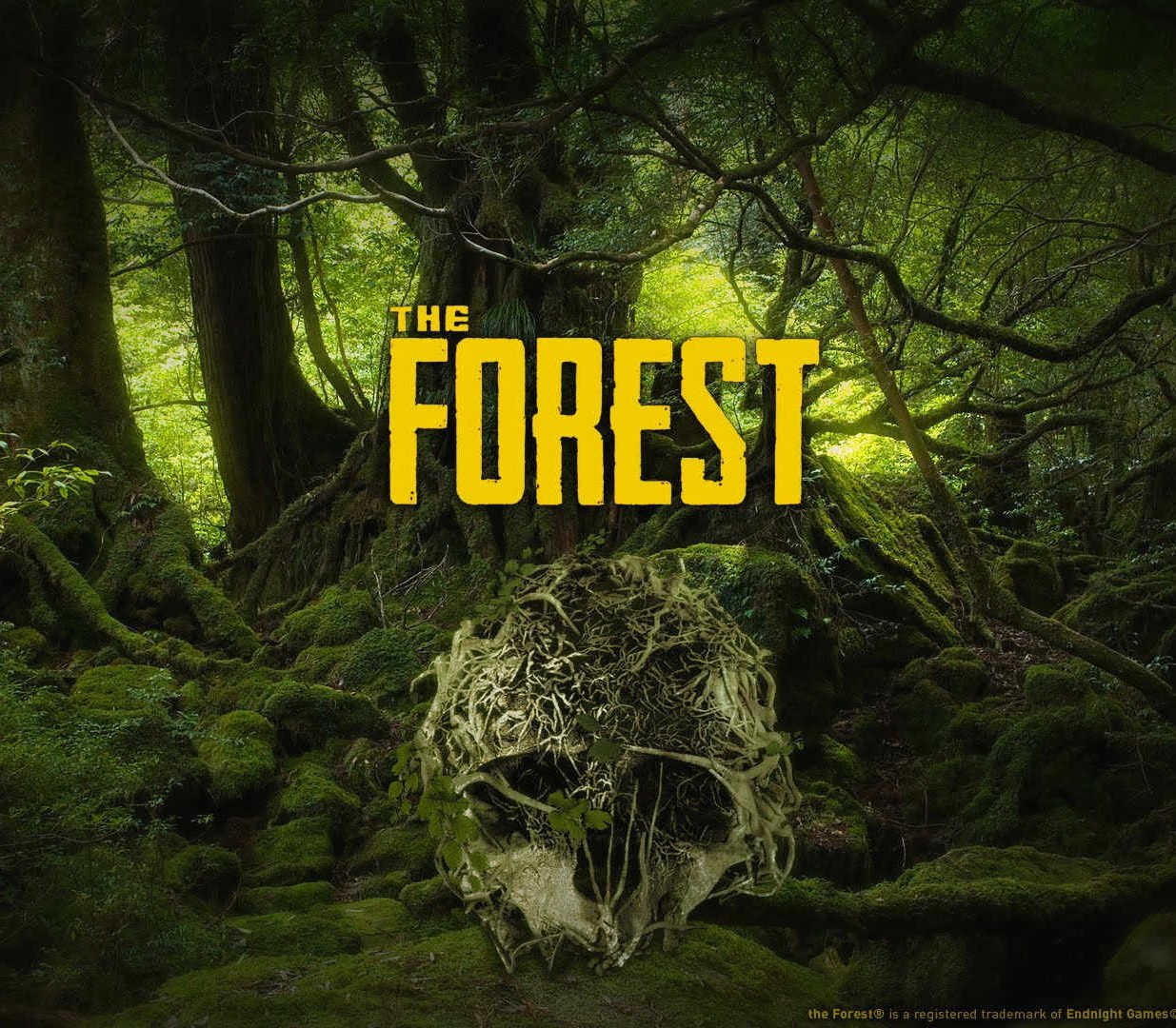 The Forest 