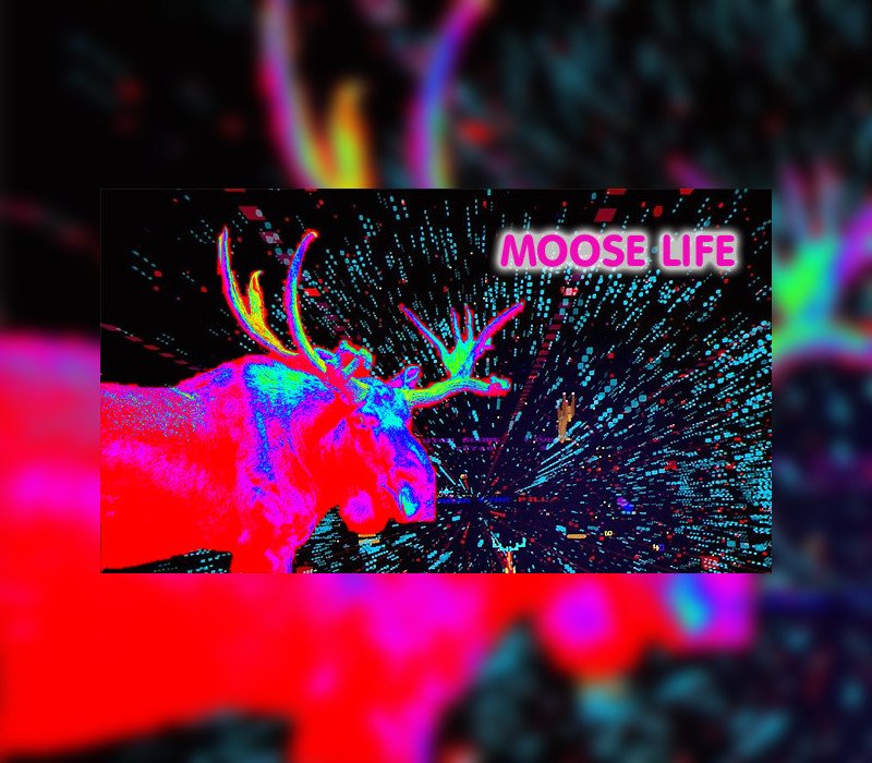 Moose Life St 