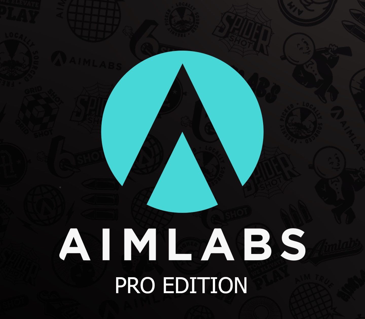 Aimlabs Professional Edition 