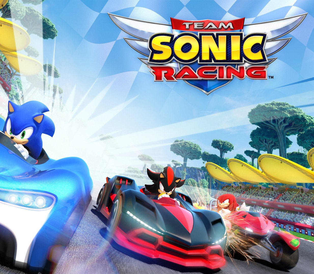 Team Sonic Racing PS4/PS5 Access 
