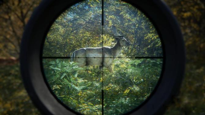theHunter: Call of the Wild - 2019 Edition 