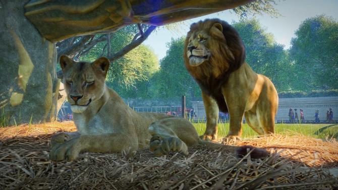 Planet Zoo ASIA/OCEANIA 