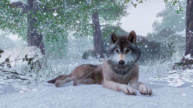 Planet Zoo ASIA/OCEANIA 