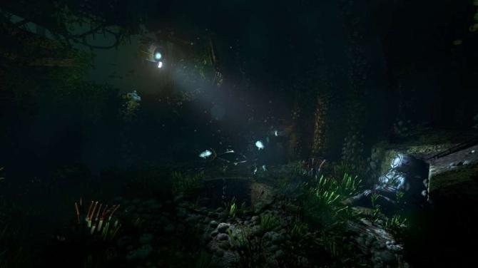 SOMA 
