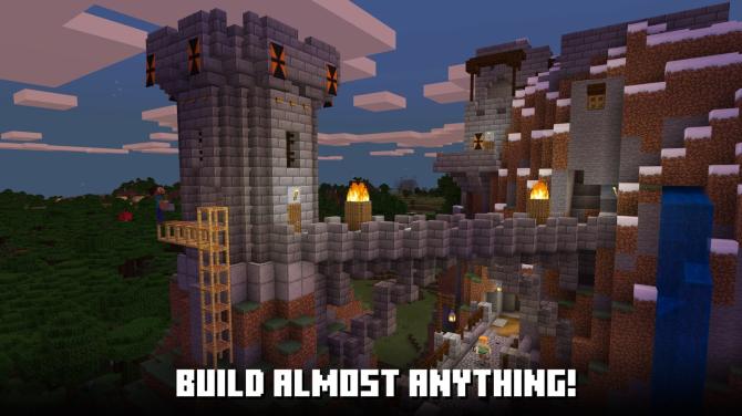 Minecraft for 