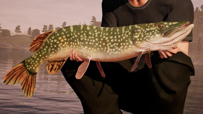 Fishing Sim World: Pro Tour 