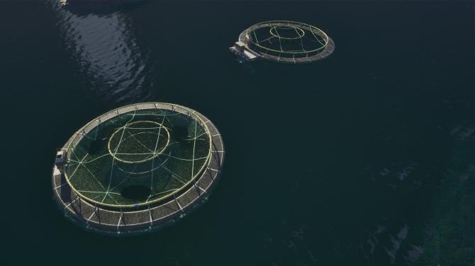 Ships At Sea 