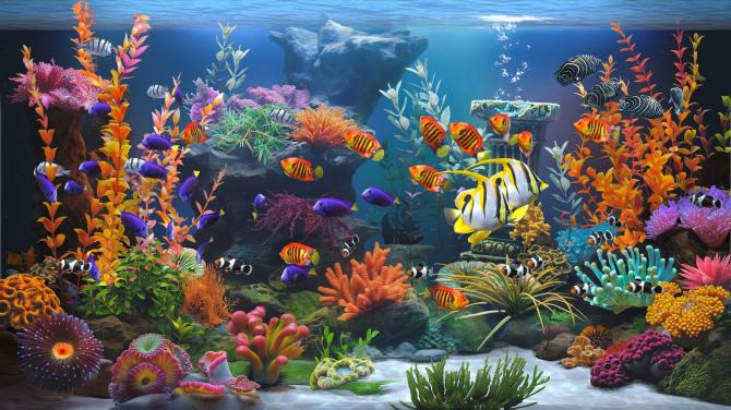 Zen Aquarium 