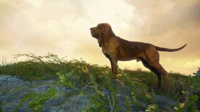 theHunter: Call of the Wild Gold Bundle 