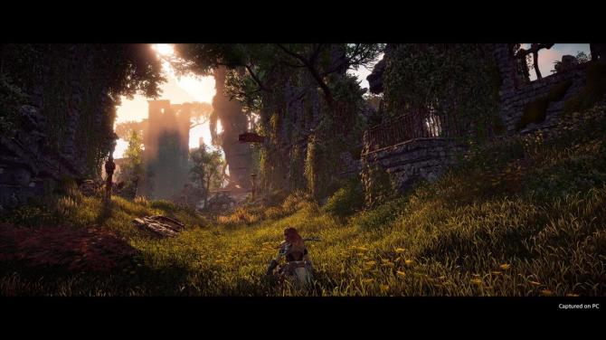 Horizon Zero Dawn Complete Edition 