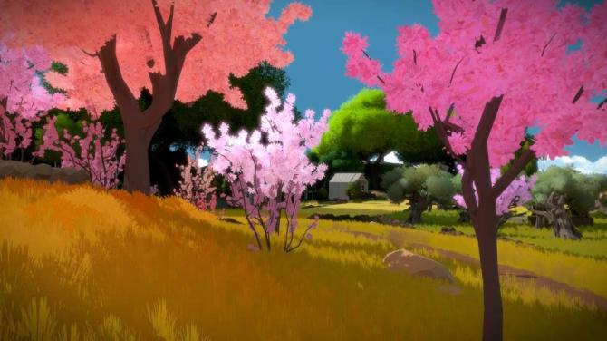 The Witness 