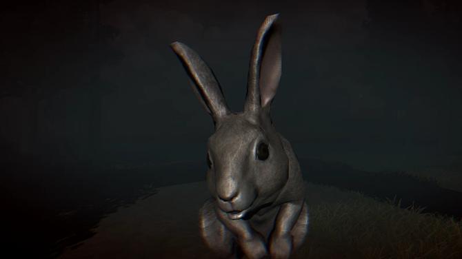 Rabbit Riot 