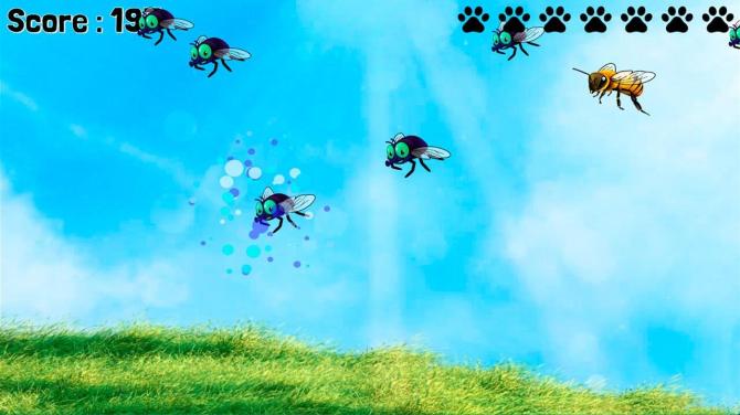 SHADE The Border Collie Flycatcher 