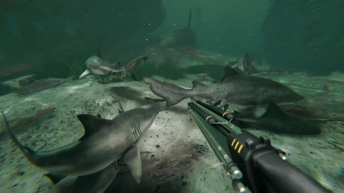 Death in the Water 2 