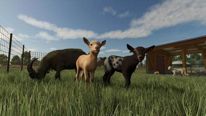 Farming Simulator 25: Highlands Fishing Edition 